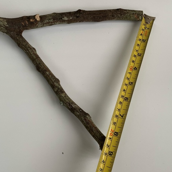 Bird perch for small birds - Picture 5 of 5